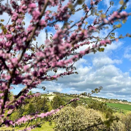 Willa Agriturismo La Contea Senigallia San Gaudenzio Zewnętrze zdjęcie