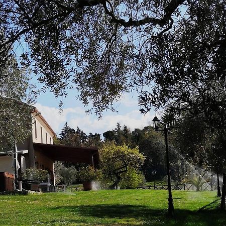 Willa Agriturismo La Contea Senigallia San Gaudenzio Zewnętrze zdjęcie